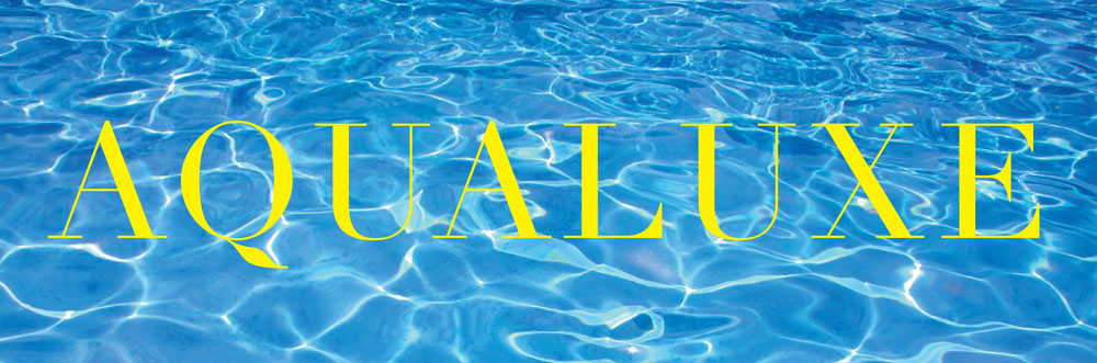 LCVA Gala 2023 Aqualuxe logo