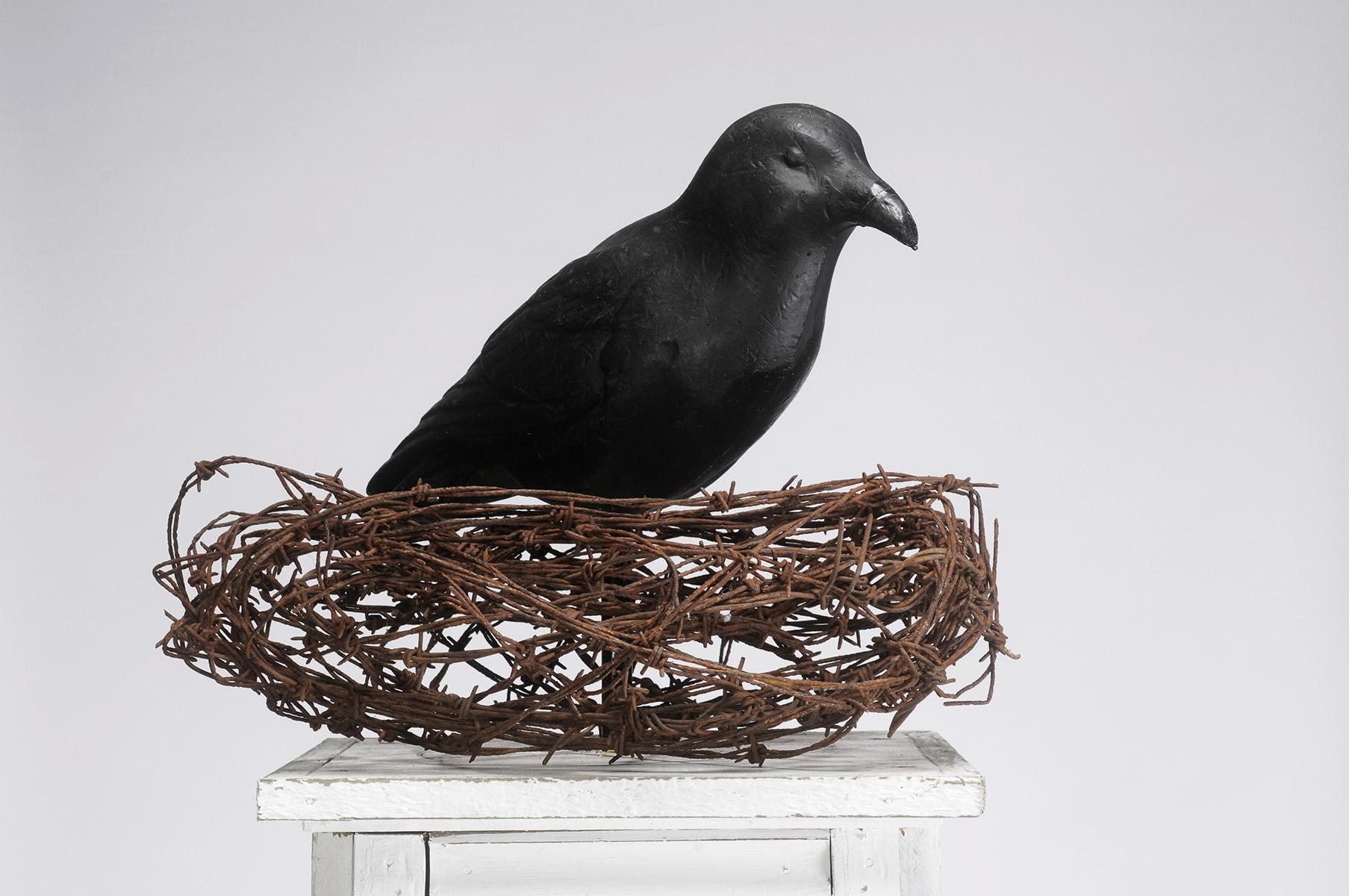 Collections Civil Human Rights Longwood Center For The Visual Arts