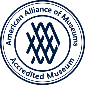 AAM logo icon